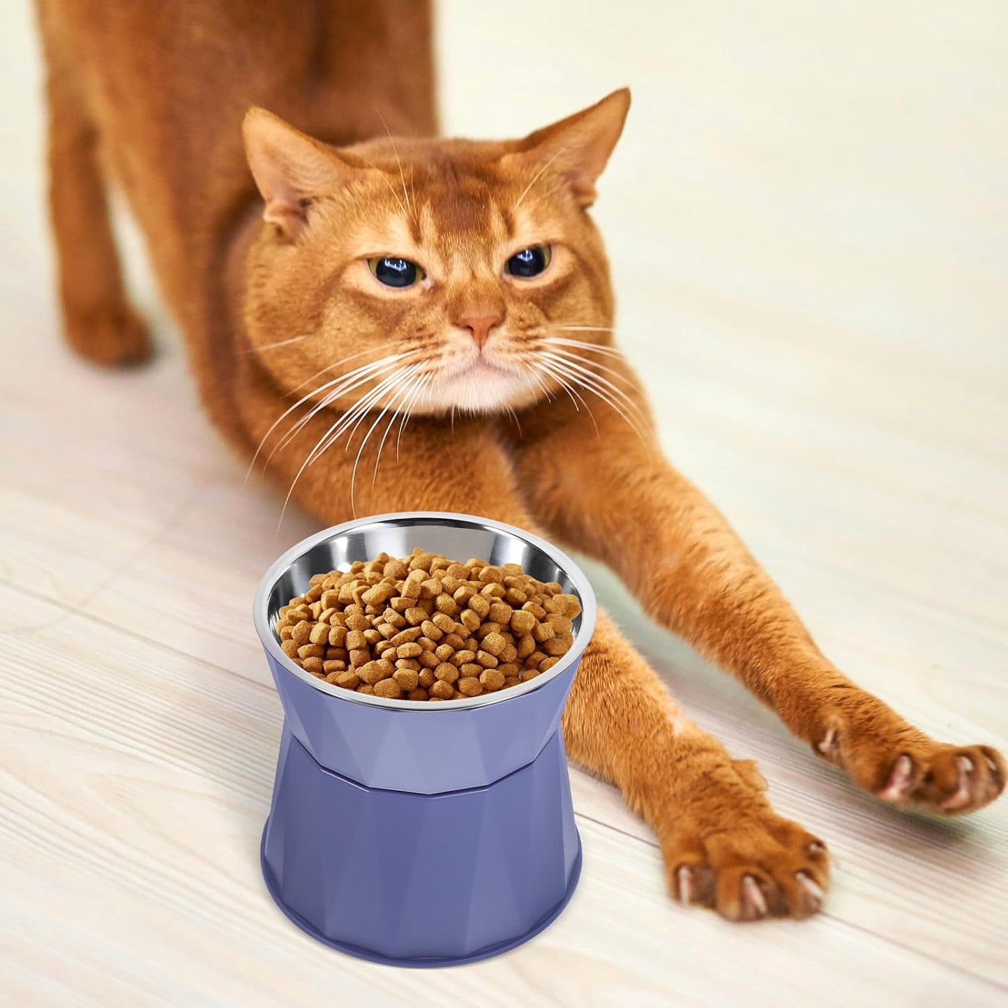 PRETYZOOM Adjustable Elevated Cat Bowls with Non-Slip Stand Blue Raised Pet Food and Water Bowls for Indoor Cats