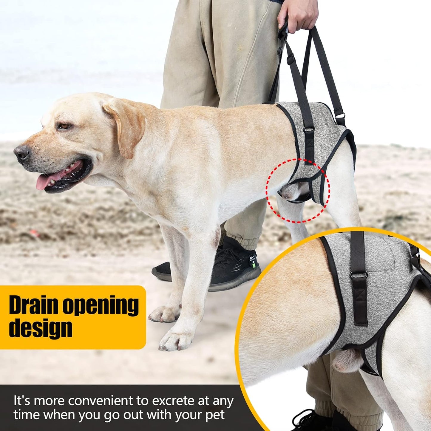 Dog Lift Harness for Dogs, Support Harness for Back Legs, Adjustable Rear Support Harness Grey Large