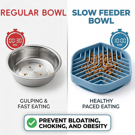 Silicone Slow Feeder Bowl for Dogs & Cats, Puzzle Lick Mat Design, Anti-Slip Suction Base, Helps Slow Eating & Enrichment, Easy to Clean, BPA-Free