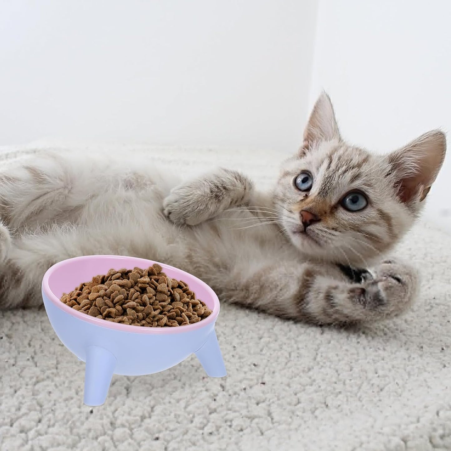 Milisten Stable Cat and Dog Feeding Bowl Set, 15° Tilted Raised Plastic Pet Water Feeder, Spill-Resistant Pink Dual Bowls for Cats and Small Dogs