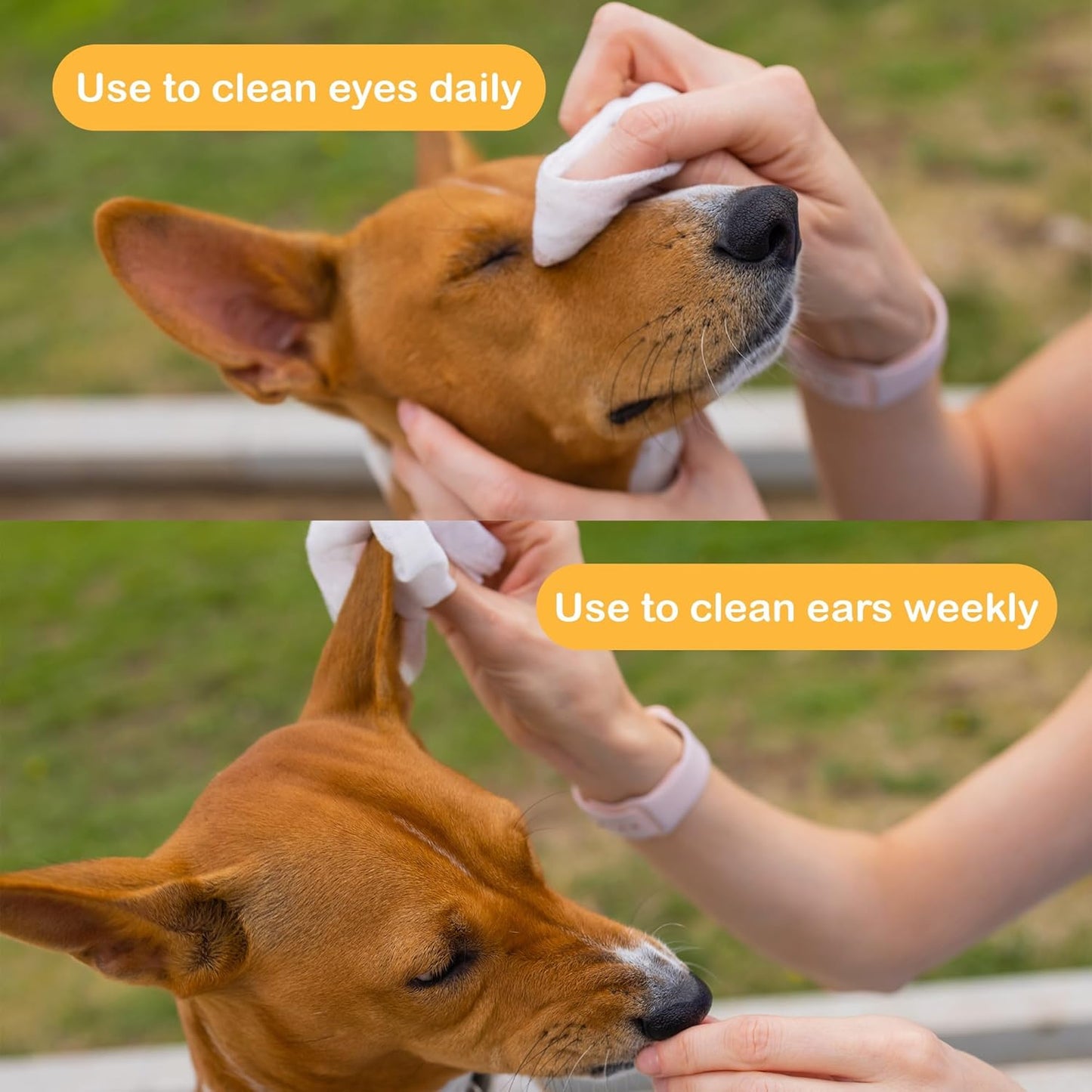 SONO Dog Wipes with Aloe & Chamomilla - Gentle Pet Wipes for Paws, Butt, Face & Body - Cleaning, Deodorizing, Puppy & Cat Friendly - Unscented, 100 Count
