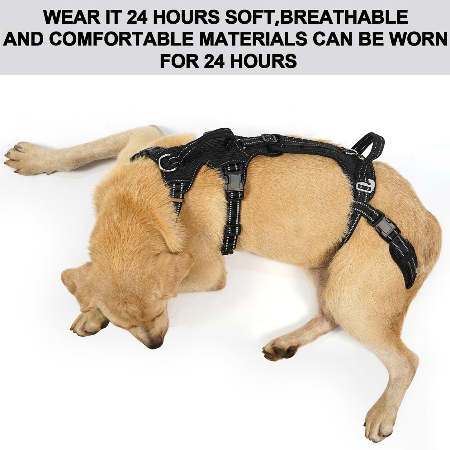 COODEO Mobility Dog Lift Harness, Support Sling & Walking Sling for Dogs, Pet Rear Leg Rehabilitation Support Vest, Dog Carrier for Senior Dogs with Joint Injuries, Arthritis, Up Stair (Black, M)