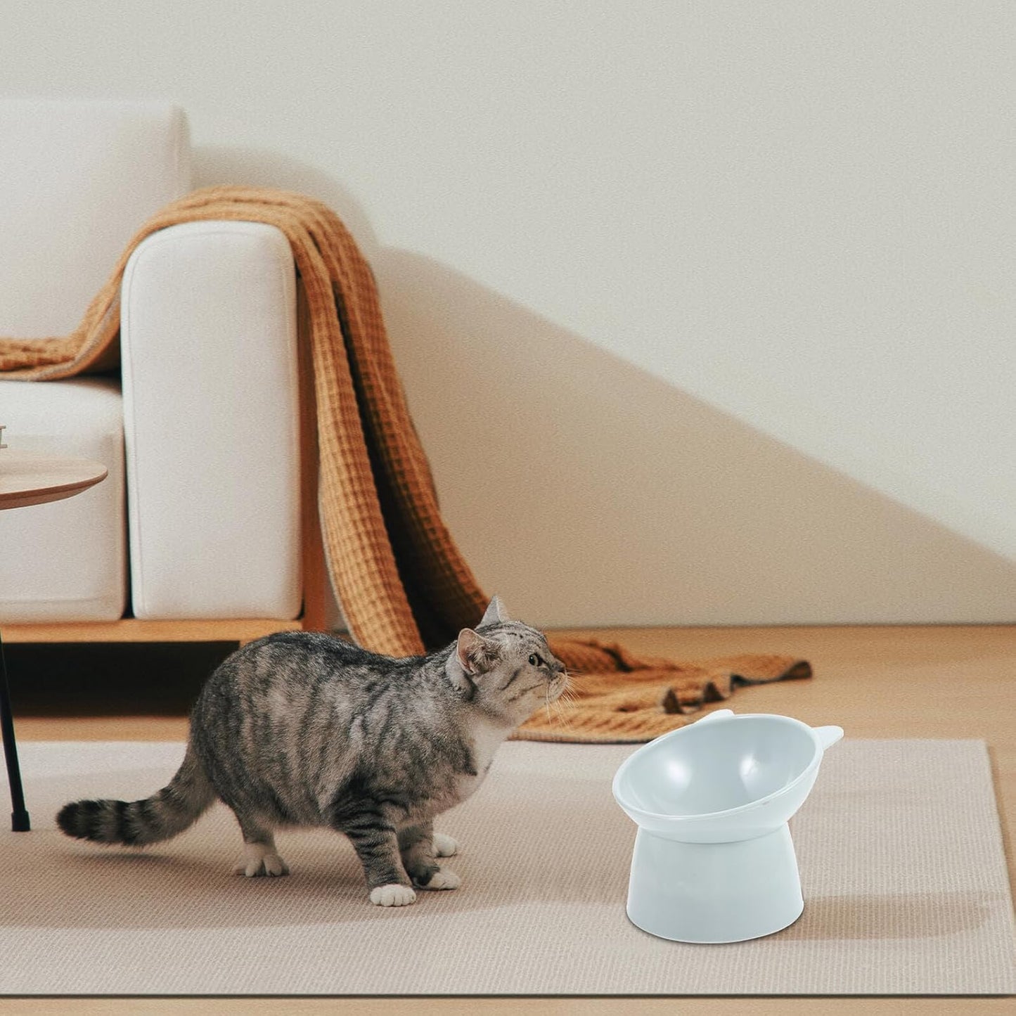 Raised Cat Food Bowl Ergonomic Design Elevated Plastic Cat Feeding Bowl with Neck Protection Slow Feeder Shallow Dish Grey