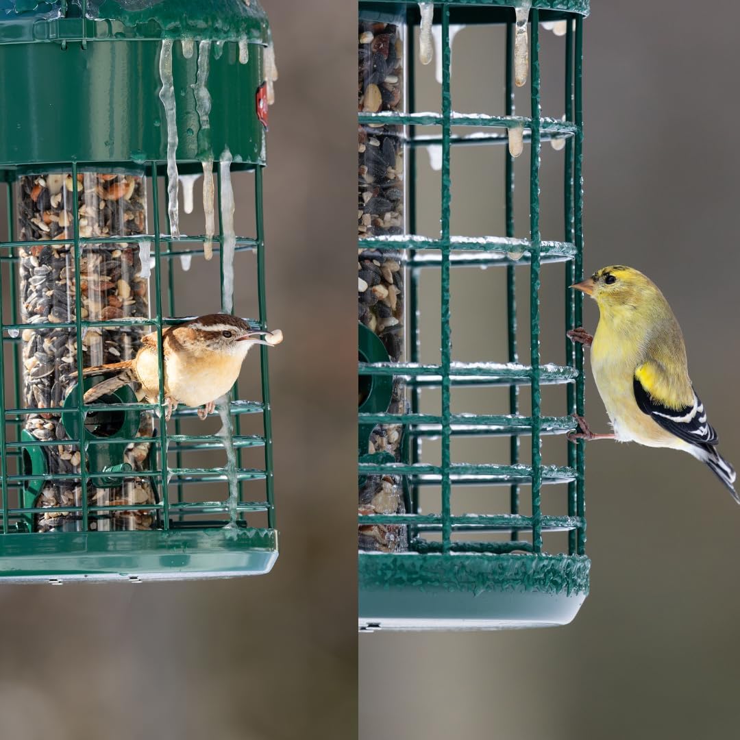 Kingsyard Upgraded Squirrel Proof Caged Bird Feeder for Outdoor Hanging - Additional Storage Tube Bird Feeder with 4 Feeding Ports & Perches, Easy to Clean & Refill. Green