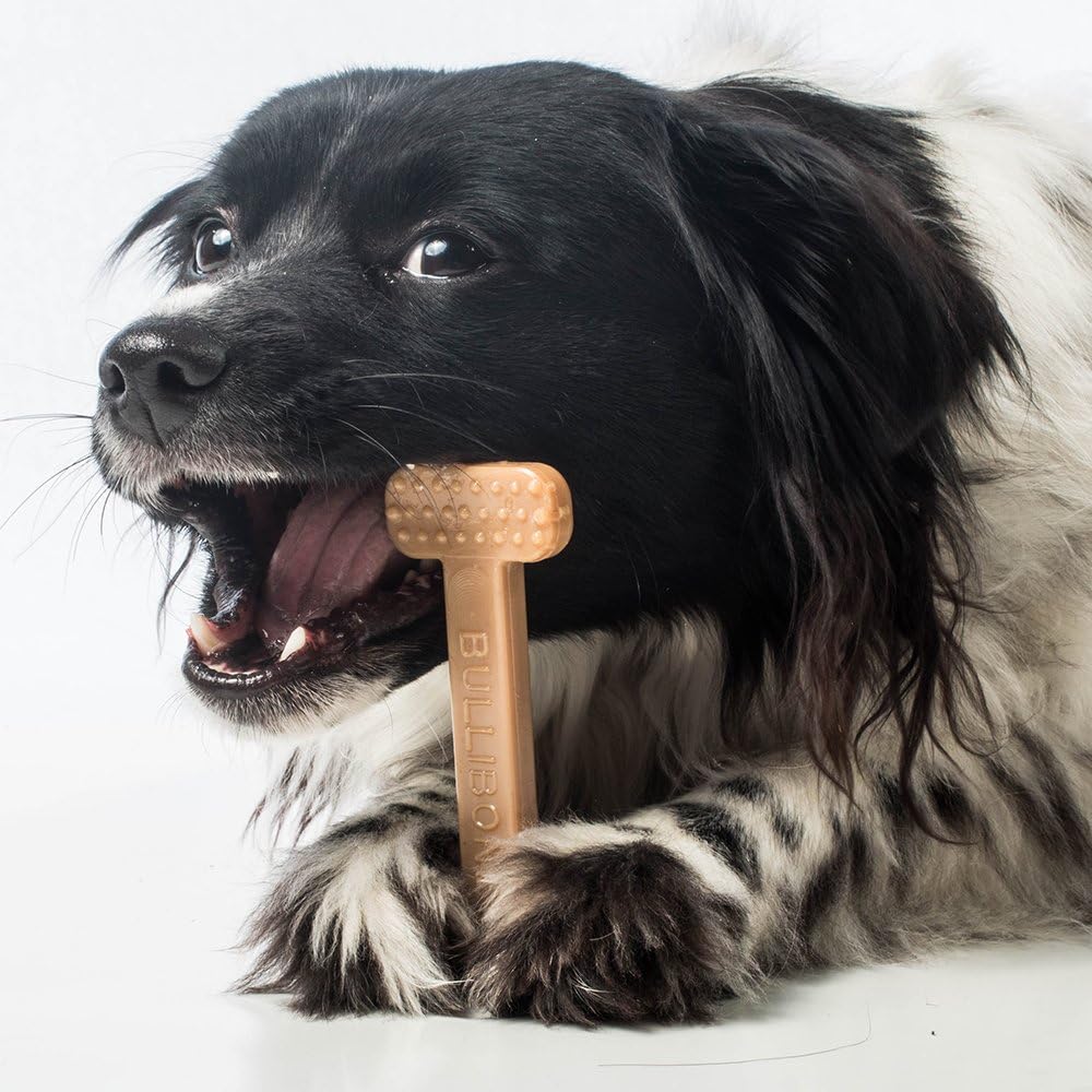 Bullibone Nylon Dog Chew Toy for Aggressive Chewers - Dental Hygiene Bone with Peanut Butter Flavor, Durable Tough Chew Toys for Small Dogs, Indestructible Dog Bone - Single