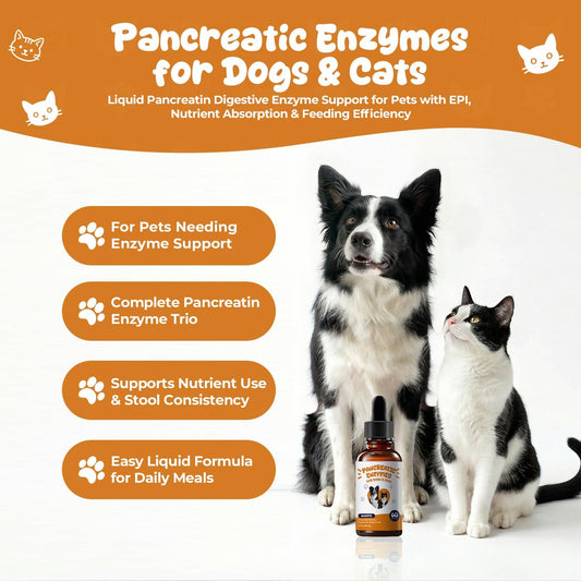 Pancreatic Enzymes for Dogs Drops – Liquid Pancreatin Digestive Enzyme Support for Pets with EPI, Supports Digestion, Weight Maintenance & Stool Consistency – 2 fl oz (60 mL)