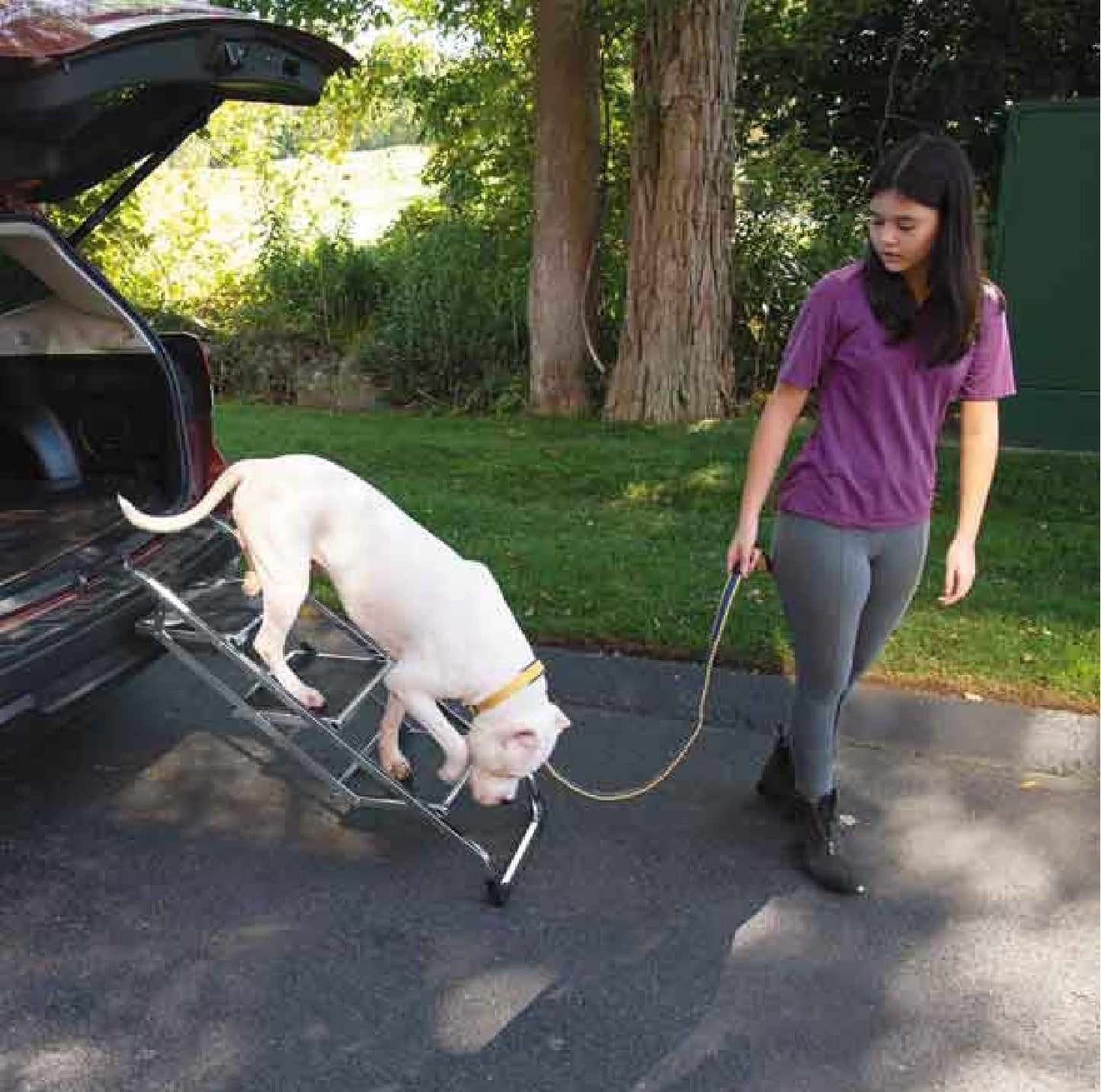 Steel Pet Stairs Heavy Duty Dog Travel or Grooming Assist Rubber Non-Skid Treads (1, Portable Pet Ramp Stairs)