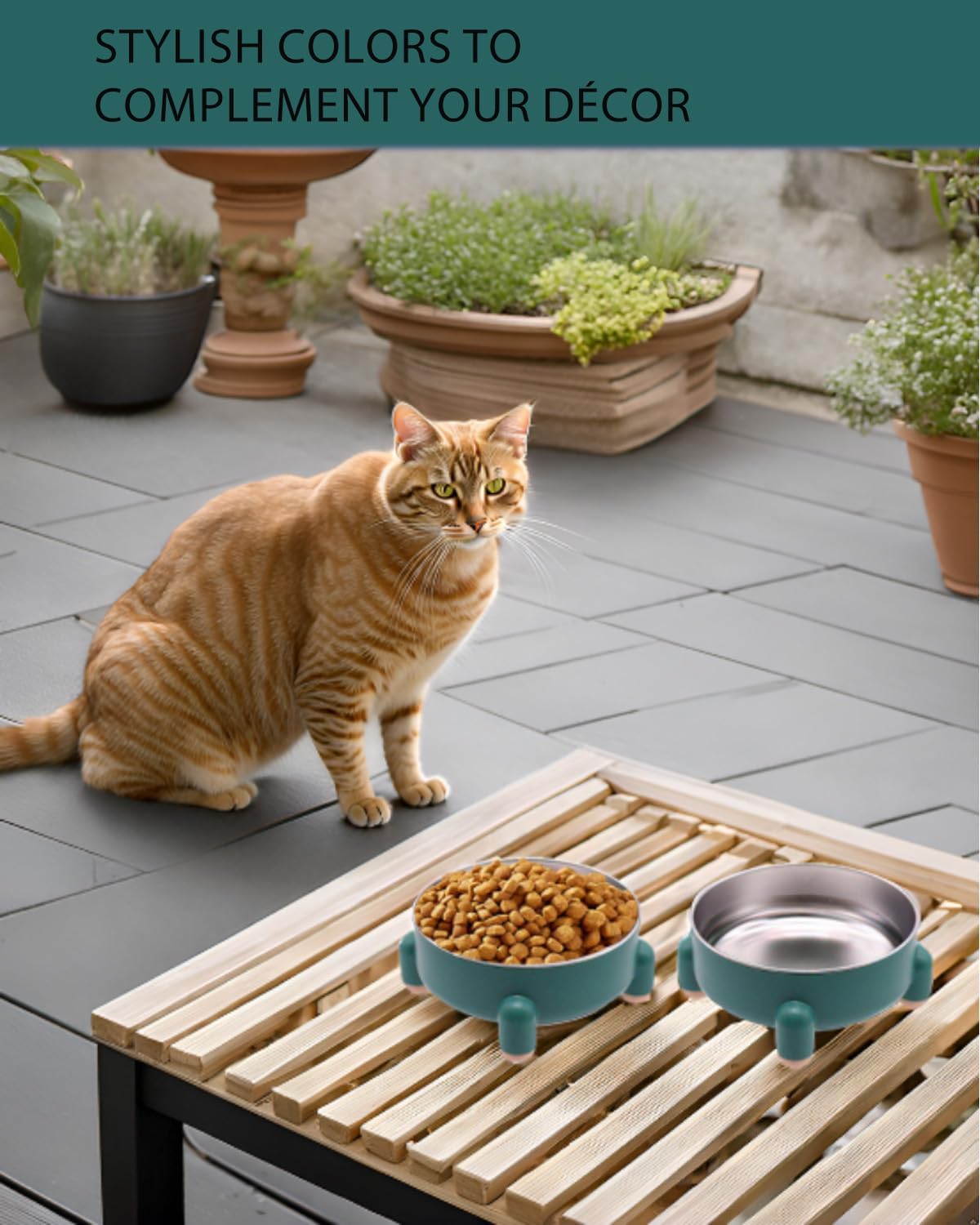 Raised Cat Food Bowl, Anti Vomiting Elevated Cat Bowl Stainless Steel, Whisker Friendly Shallow Wide Dish, 3 Cups (24 oz) Non-Slip Dishwasher Safe for Indoor Cats (Green, 1-Pack)