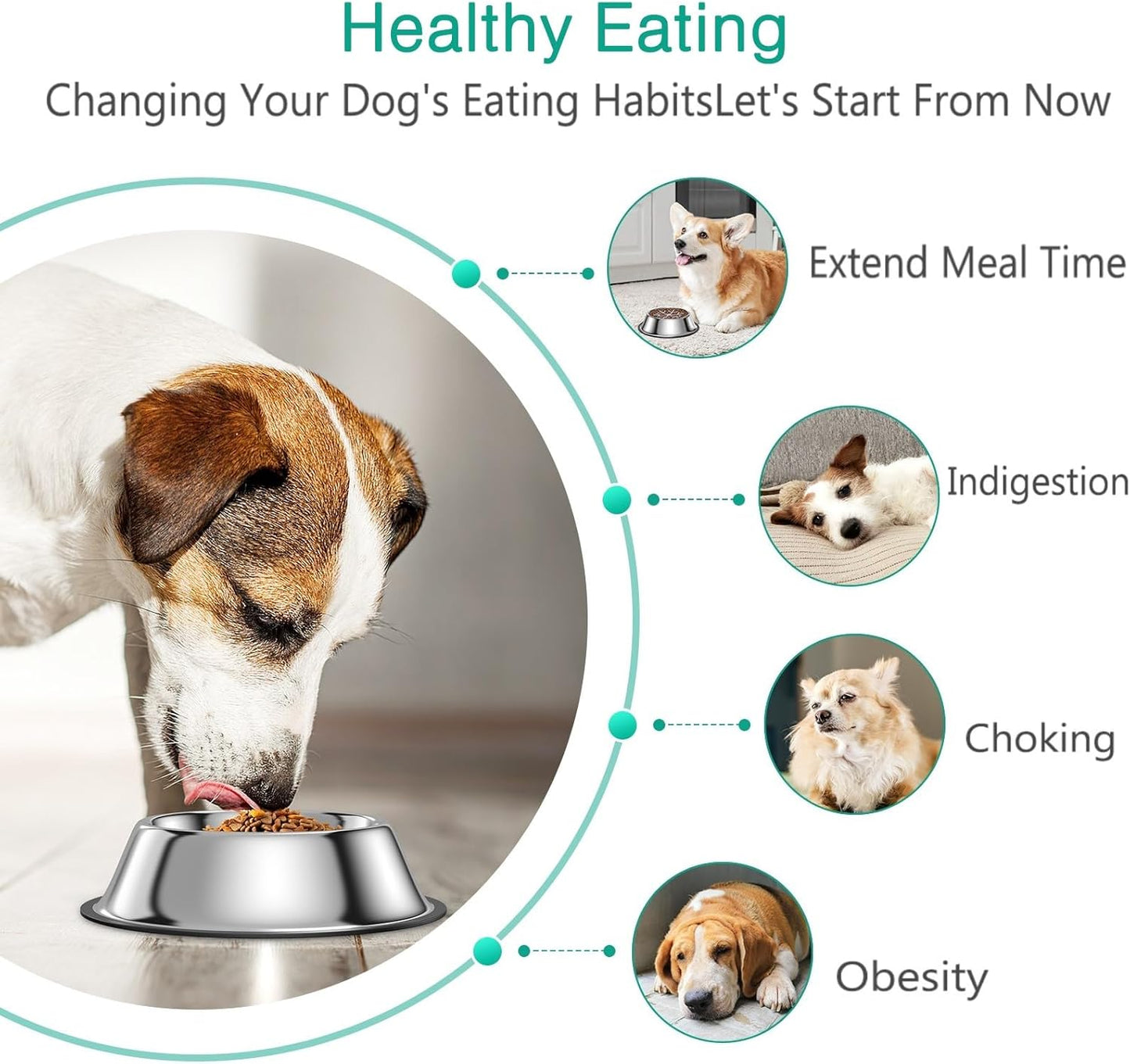 ORIA Slow Feeder Dog Bowl Set, Stainless Steel Dog Food Bowl with Slow Feeder Insert, Pet Water Bowls with Non-Slip Base for Small Medium Breeds, Holds Up to 2 Cups, M