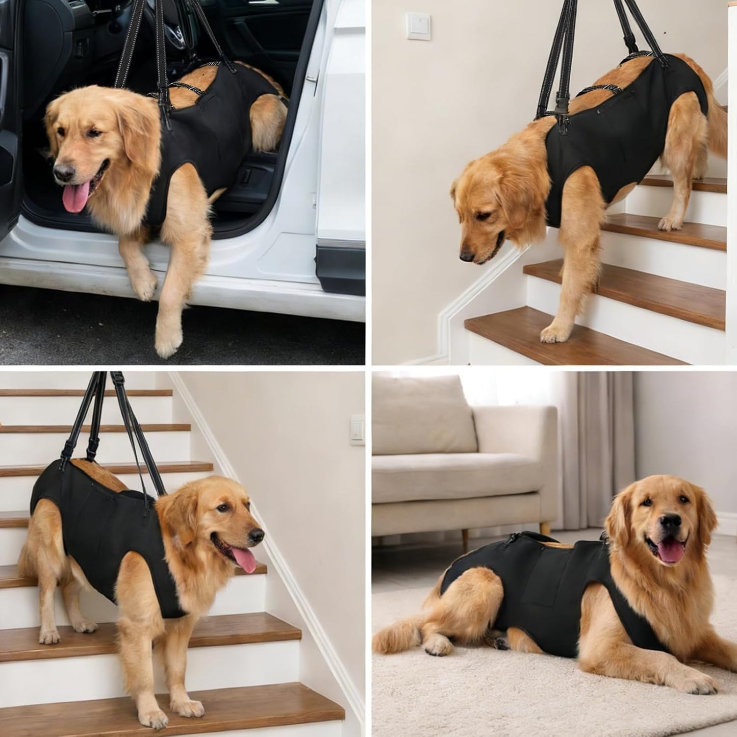 Dog Lift Harness with Pocket Full Body Dog Harness with Adjustable Handle Dog Carrying Sling Pet Legs Support Sling for Senior Dogs Joint Injuries Post Surgery Recovery Hiking,Black,XL