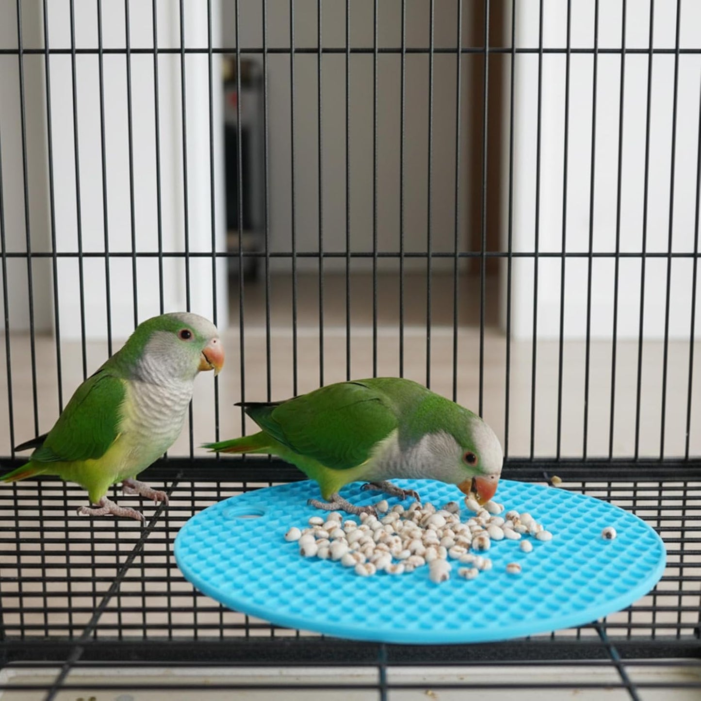 2 Pcs Bird Slow Feeder Mats, Interactive Foraging Mat, Extend Eating Time, Birds Toy for Parakeet, Cockatiel, African Grey, Conure (Blue & Grey)