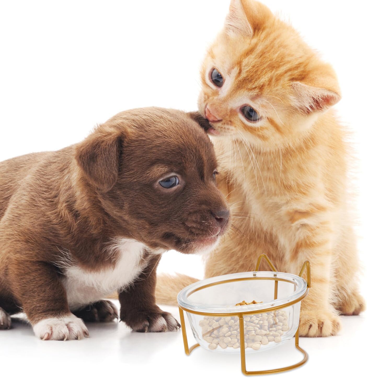 Milisten Glass Raised Cat Bowl with Neck Protection, Slant Design Pet Food and Water Feeder, Whisker-Friendly Tilted Feeding Dish for Cats, Single High Base Bowl for Indoor Use