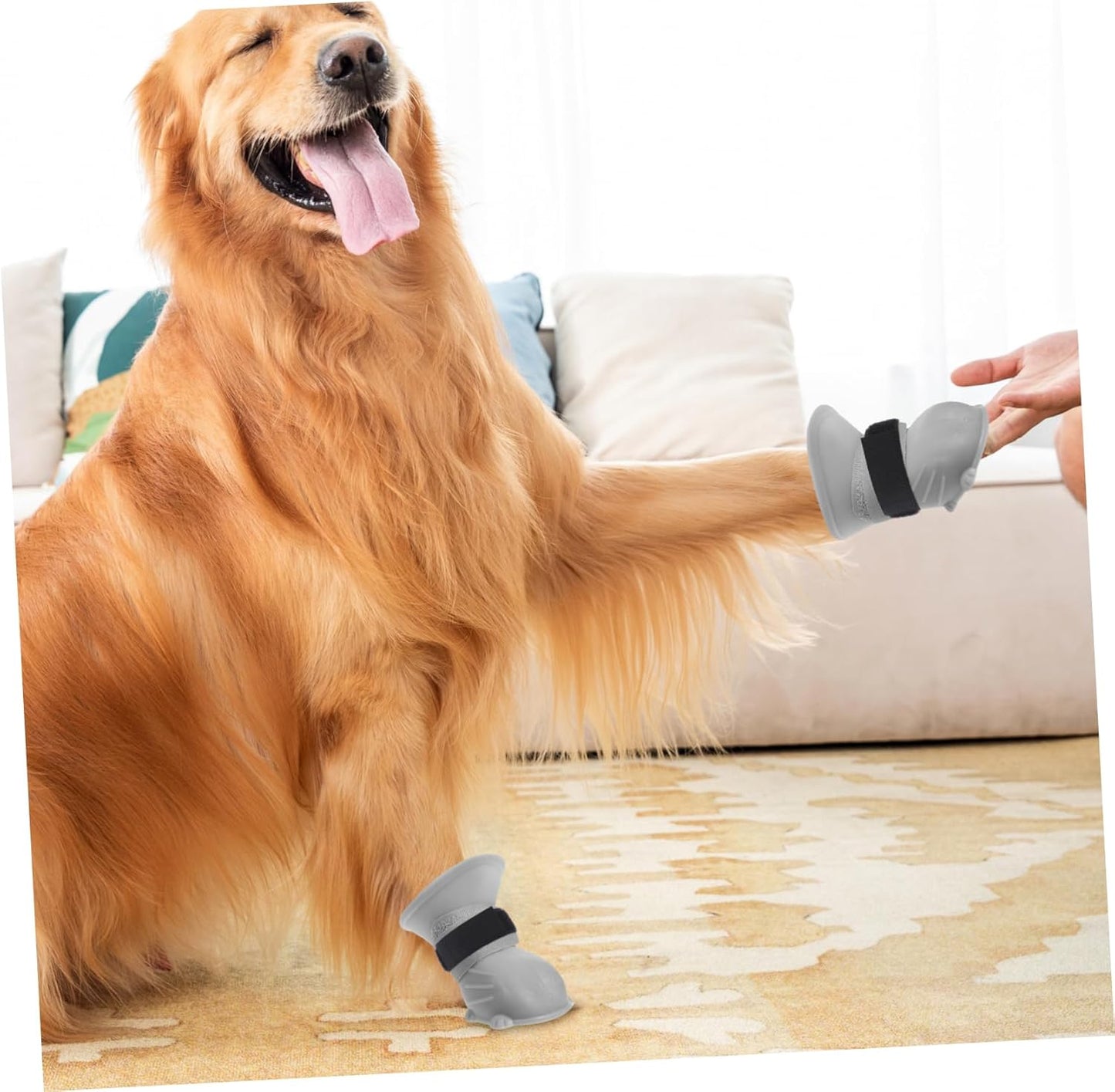 UPKOCH 10pcs Adjustable Slip Pet Bootie Bands Sock Holders for Dogs Non-Skid Paw Cover Fasteners for All Weather Conditions Outdoor Activities