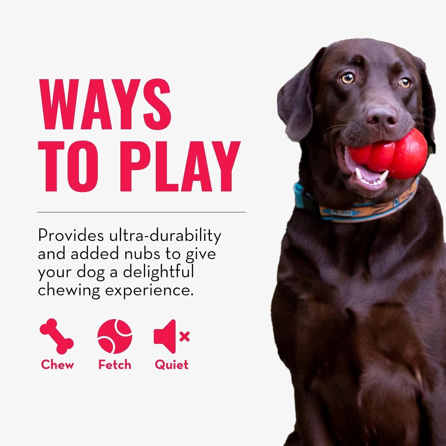 KONG Ring - Natural Rubber Ring Toy for Healthy Chewing Habits - Chew Toy Supports Dog Dental Health - Dog Toy Supports Instincts During Playtime - for Small/Medium Dogs