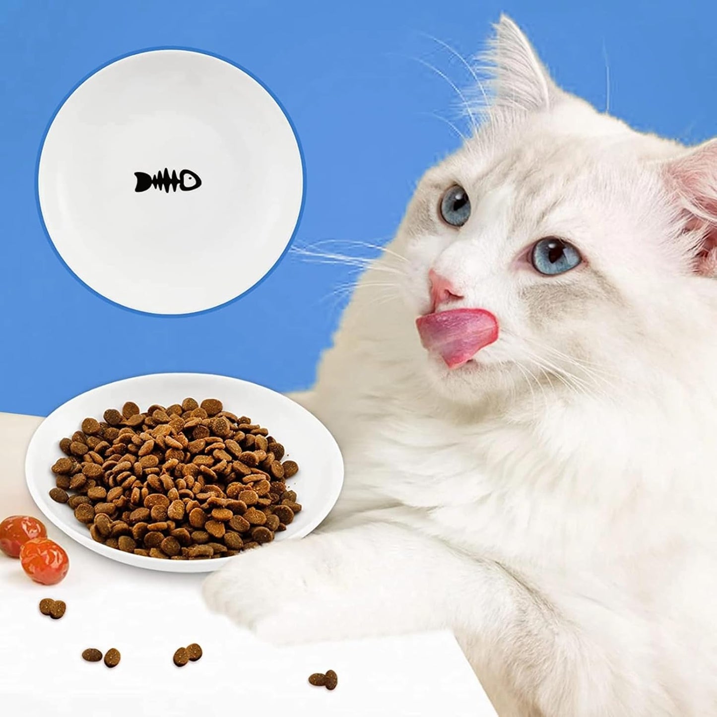 Cute Fish Bone Design Cat Bowls - Wide & Shallow Ceramic Feeding Dishes for Wet & Dry Food, Kittens to Cats
