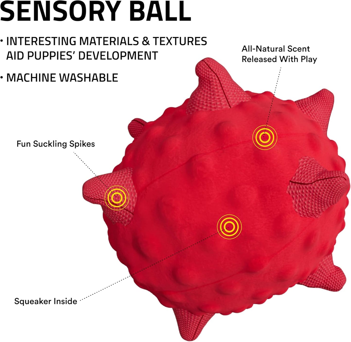 Playology Dog Toys | Puppy Toys for Young & Active Dogs | Beef Scented Teething Bone & Sensory Ball - Easy to Clean and Made from Non Toxic Materials