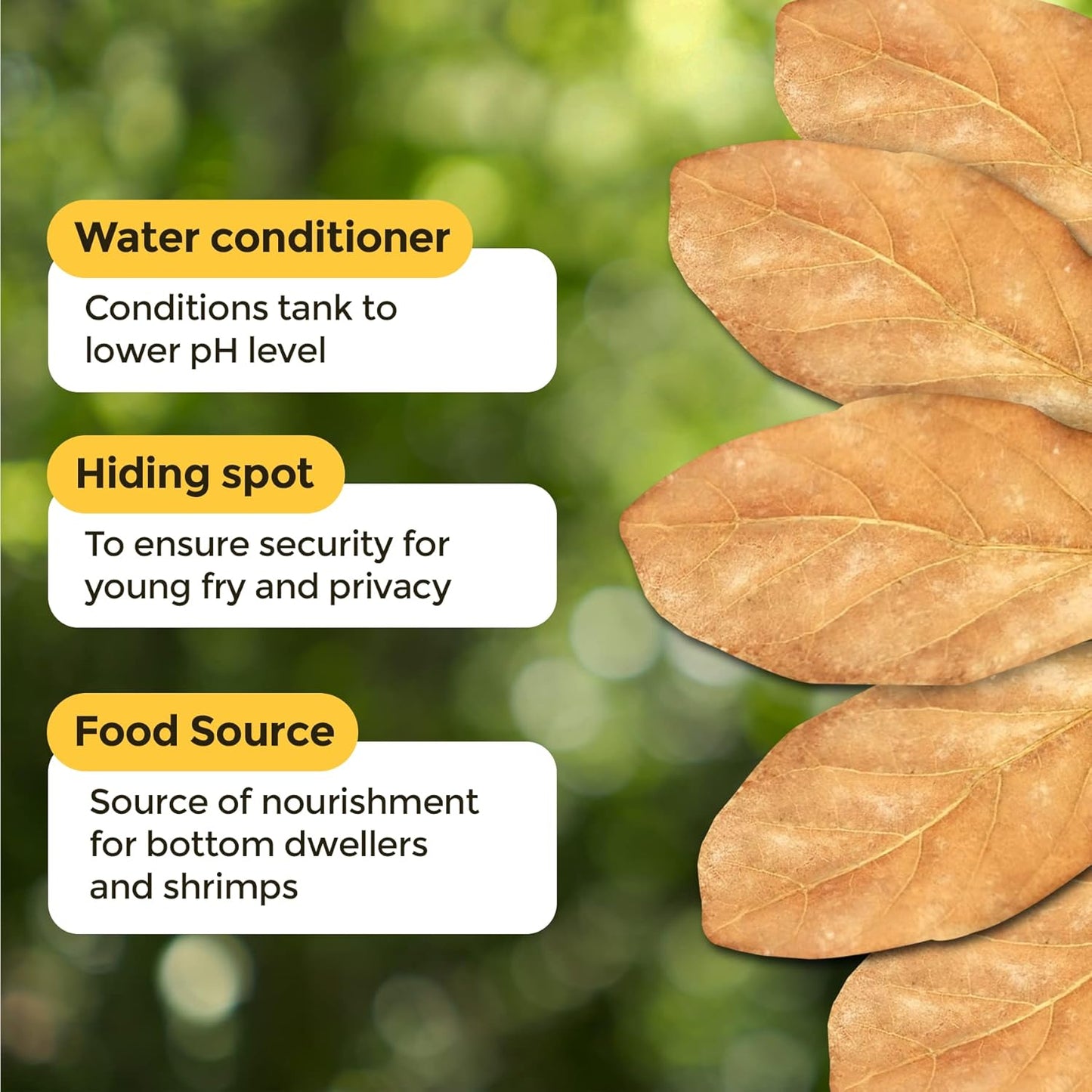 SunGrow 10 Pcs Catappa Indian Almond Leaves for Shrimp Aquariums, 4-7 Inches Long Leaf as Hiding Spot, Tannins Lowers Tank's pH, Softens Water, Enhance Spawning & Vitality Rate