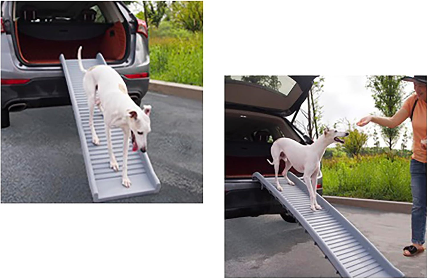 Folding Pet Ramp, 61 Inch, Portable Lightweight Dog or Cat Ramp, Great Traction, Suitable for All Cars, Max Load 165 Pound Capacity to accommodate Large Dogs, Color, Grey