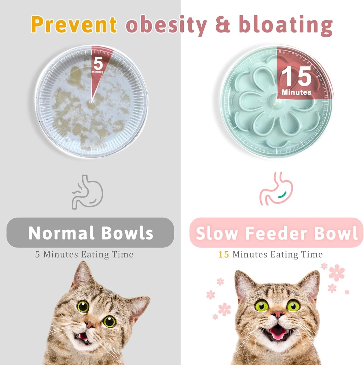 2 Pcs Cat Slow Feeder Bowl Cute Cat Food Bowl with Bloom Design Healthy Eating Diet Interactive Feeder Wet Dish for Pets Small Dogs(Pink, Green)