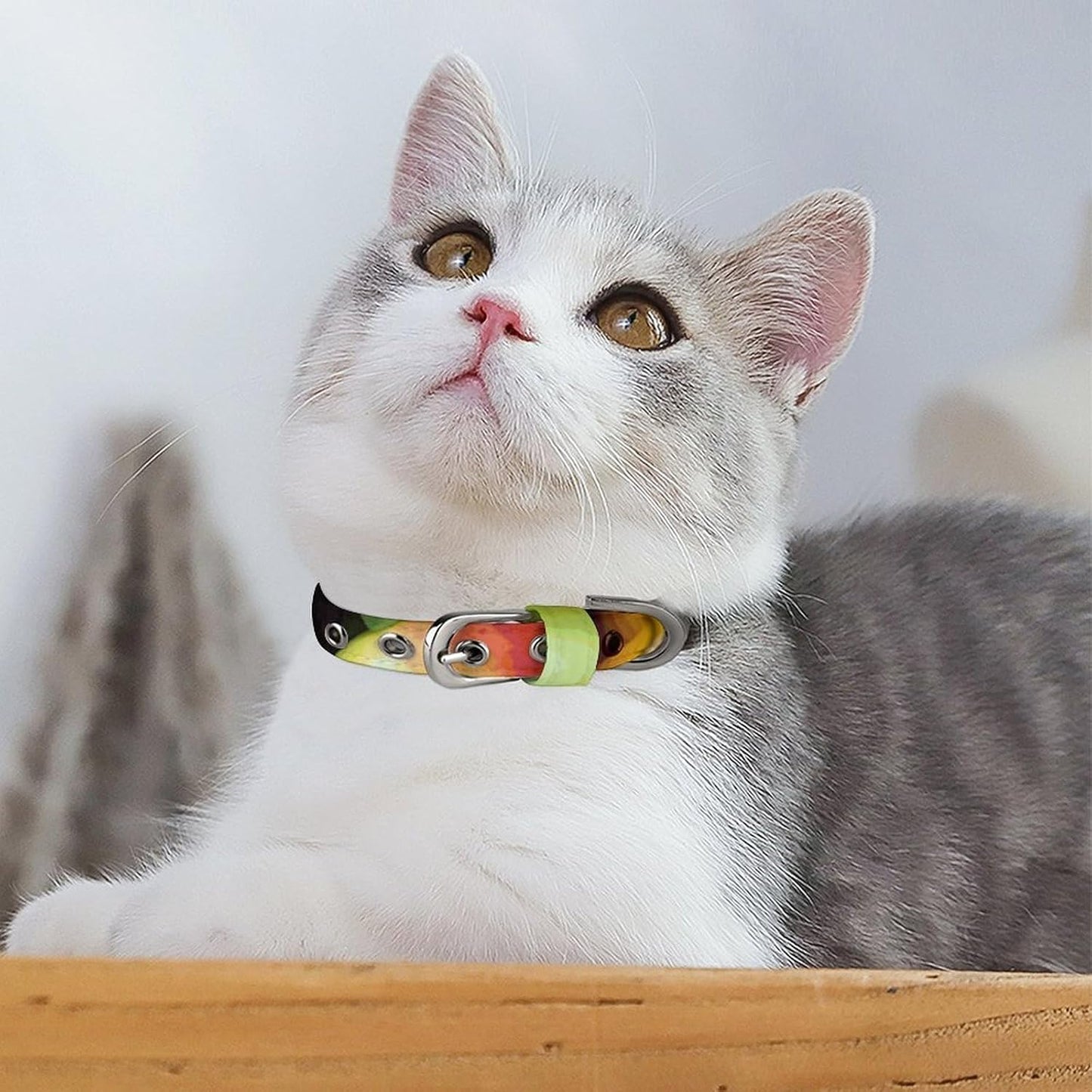 Fresh Fruits and Vegetables Dog Collar with Buckle Adjustable Martingale Pet Collars Cute Female Male Puppy Collar Soft Waterproof Cat Collars for Small Medium Dogs