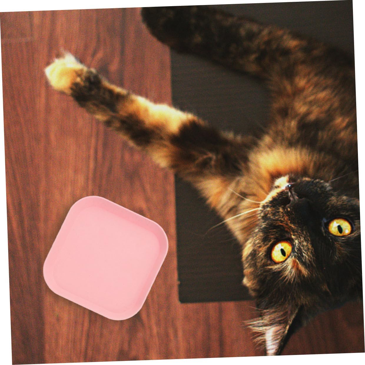 PRETYZOOM 8pcs Shallow Square Cat Food Bowls Kitten Wet Food Plates Small Indoor Pet Feeding Dishes Assorted Colors