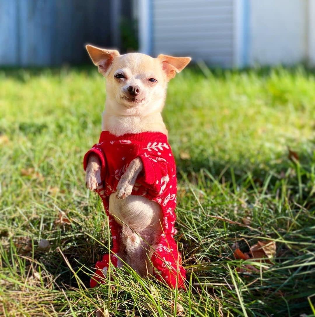 CuteBone Soft & Stretchy Christmas Dog Pajamas - Cozy Pet Jammies Breathable Jumpsuit for Small Dogs - All-Season Comfy Outfit Easy-On Pullover Design - Keeps Pets Warm & Comfortable P18M