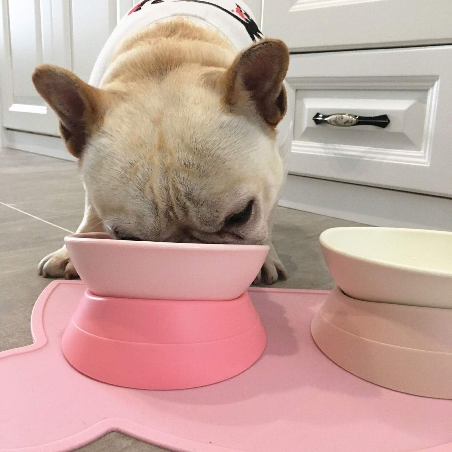 DZXZY French Bulldog Food Bowl, Slanted Tilted Pug Dog Bowl,Non-Slip Pet Feeder for Frenchie, Shih Tzu, Flat Faced Small Dogs, Puppies,Cat (Gray, M -2 Cup)