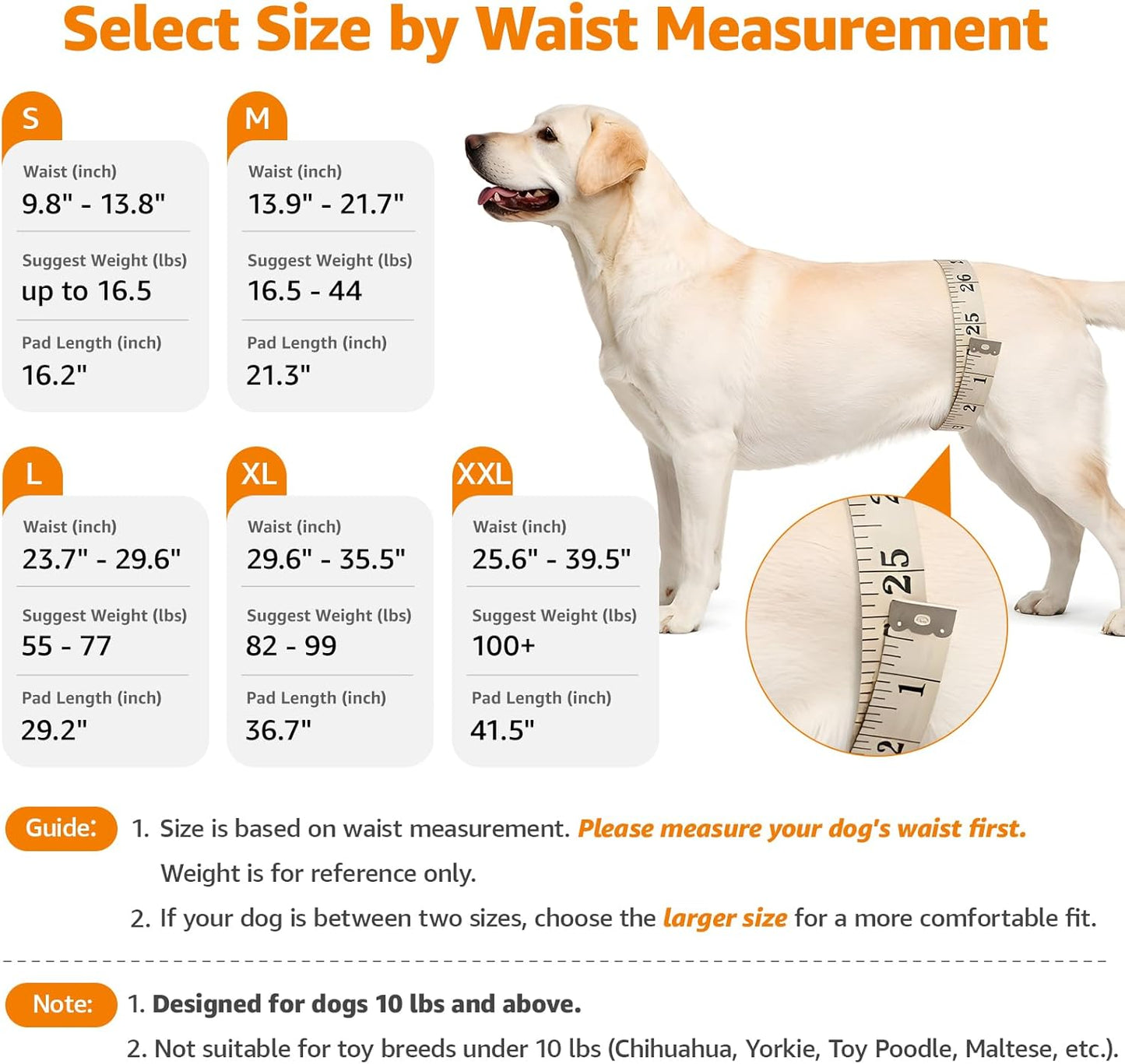 LOOBANI Portable Dog Sling for Back Legs, Hip Support Harness to Help Lift Rear for Canine Aid Old K9 Cruciate Ligament Rehabilitation