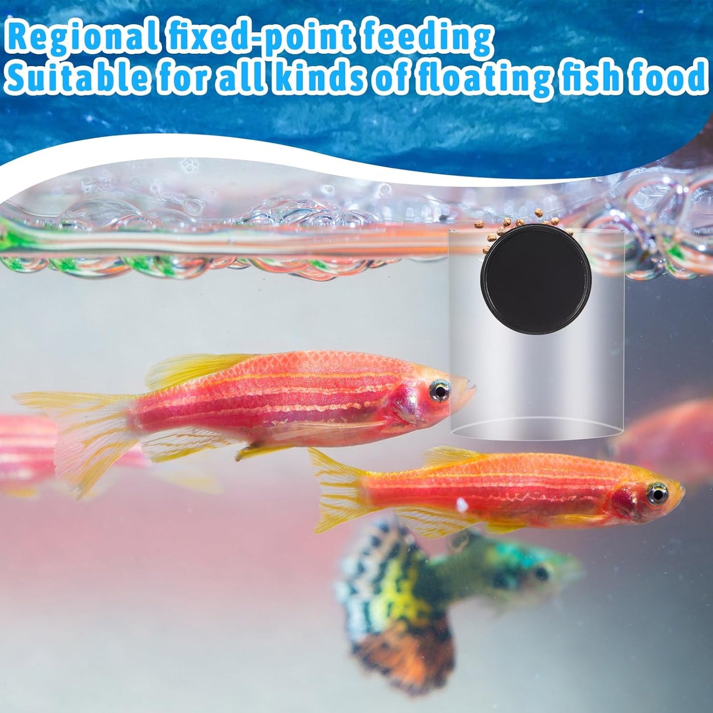 2 Pcs Magnetic Fish Tank Feeders Acrylic Fish Food Feeding Ring for Aquarium Tank Accessories, Suitable for Pellet, Frozen, Flake or Freeze Dried Food