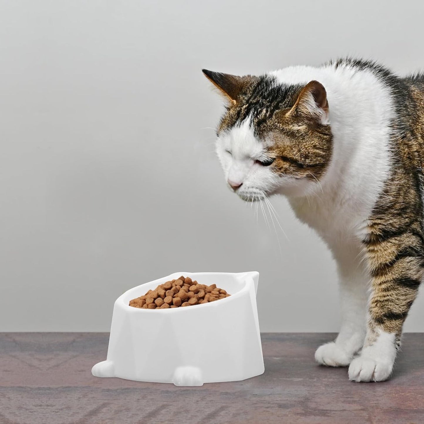Ceramic Elevated Cat Bowl Neck Protection, White Raised Pet Feeding Dish, Anti-Spill Tilted Floor Bowl for Indoor Cats and Small Dogs