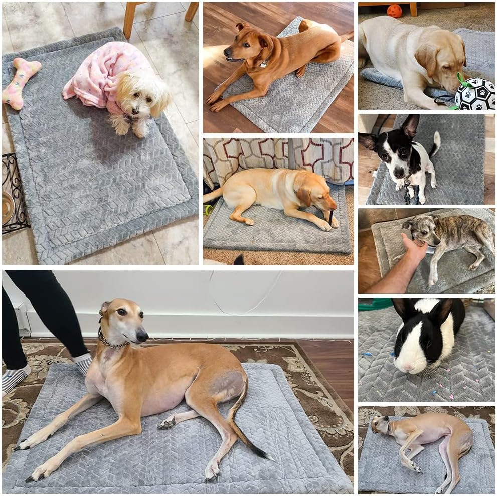BEAUTYZOO Dog Bed Crate Pad 42 x 28 inch, Washable Dog Crate Mat for X-Large Sized Dogs, Anti-Slip Pet Crate Bed Kennel Pad, Durable Cozy Puppy Sleeping Mat Rectangle Mattress, Grey