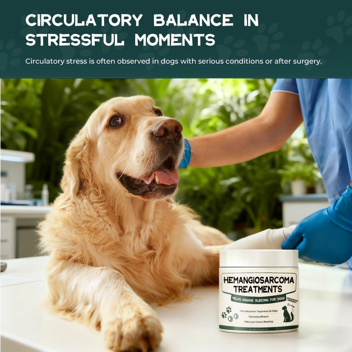 Quick Stop Bleeding for Dogs, Yunnan Sanqi Powder Supplement for Hemangiosarcoma, Nose Bleed, Hemoabdomen, Bloody Stools, Pericardial Effusion, Cancer Bleeding, Clotting&Circulation