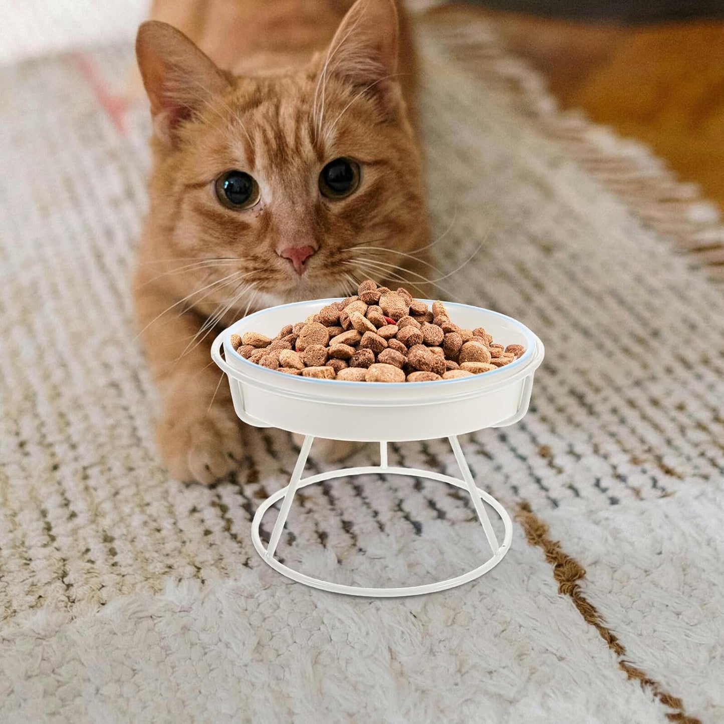 Milisten Ceramic Raised Cat Bowl Slow Feed Elevated Pet Feeding Dish with Stand Anti-Choke Slow Eating Plate for Indoor Cats and Small Dogs
