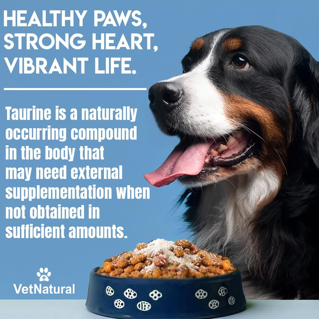 Doggy Supps Taurine for Dogs, 99.99% Pure Taurine Powder – Immune Support, Boost Energy, Skin & Coat Health for Heart, Vision & Daily Wellness – Easy to Mix in Food, Includes Measuring Spoon