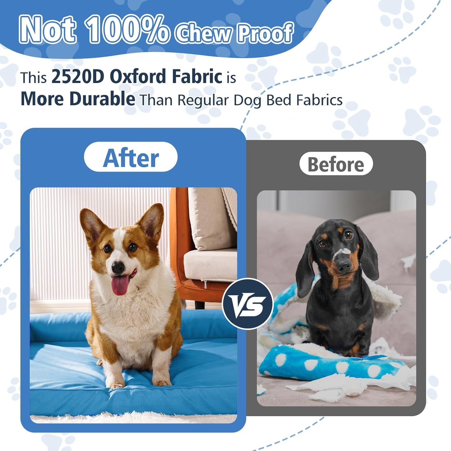 Indestructible Pet Couch Sofa - Orthopedic Memory Foam Dog Bed, Waterproof Washable Cover with Non-Slip Bottom & Durable Support for Medium Large Dogs, 42" x 30" Blue