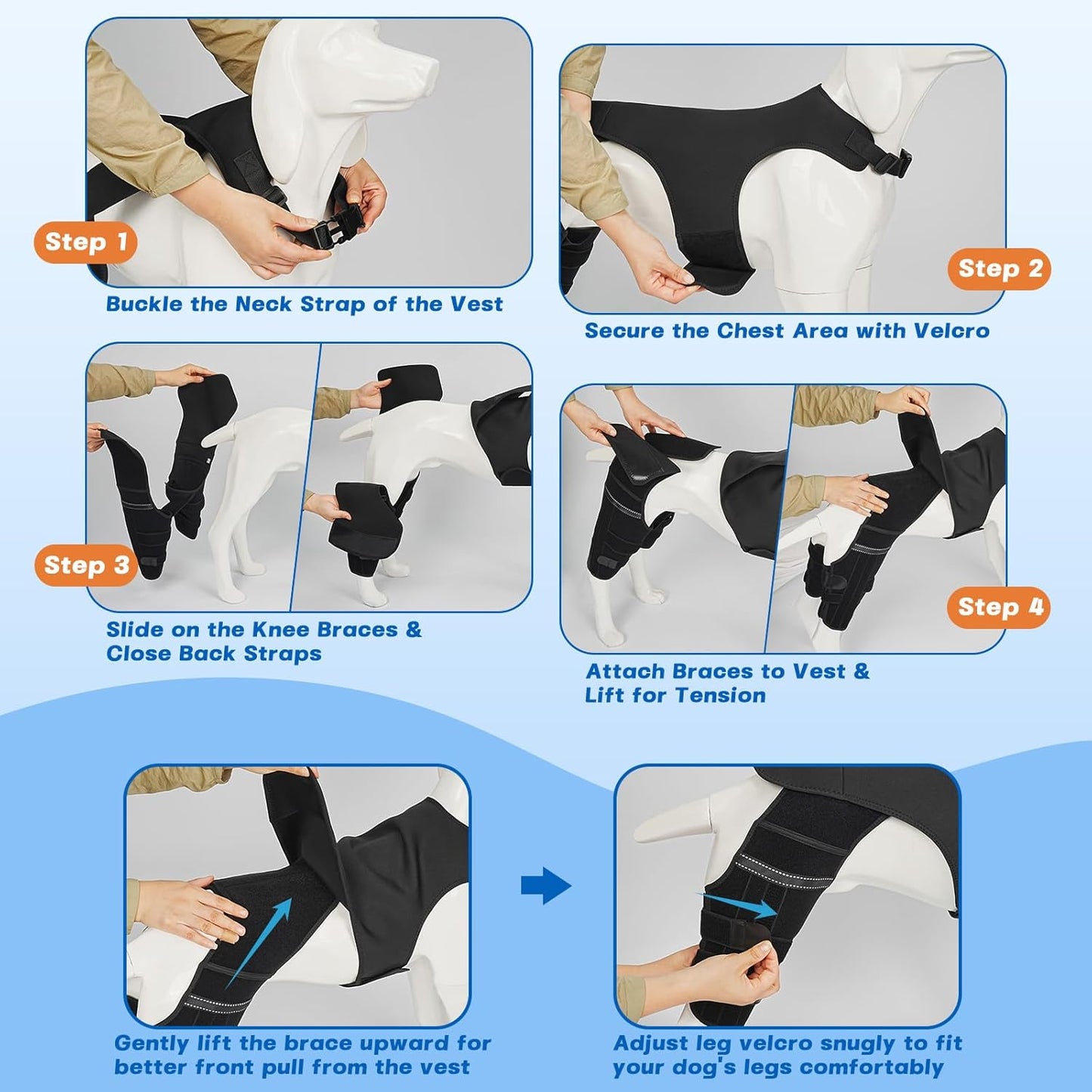 Dog Knee Brace for Torn ACL Hind Leg, Dog Leg Braces for Back Leg Support with 4 Metal Stabilizers Helps with Torn CCL, Luxating Patella, Ligament Injuries, Hip Dysplasia,S