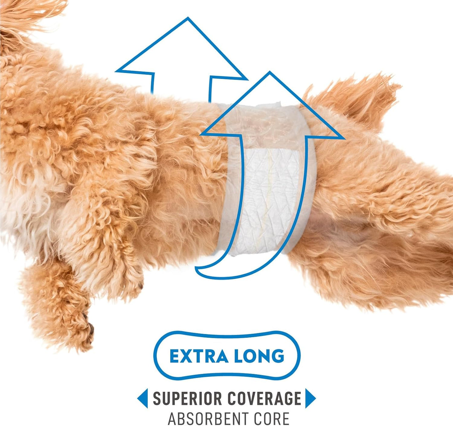 Paw Inspired Select Fit Male Dog Diapers, Disposable Male Wraps with Wetness Indicator| Belly Bands for Small, Medium, Large Dogs (X-Small, 20 Count)