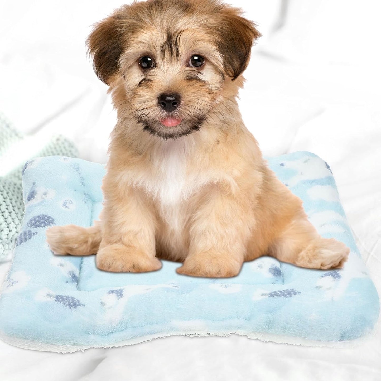 FAVOMOTO 2pcs Small Animal Bed Mats for Cage Thickened Plush Warm Sleeping Pads Washable Pet Bedding Mats for Winter Guinea Pig Hamster Rat Cage