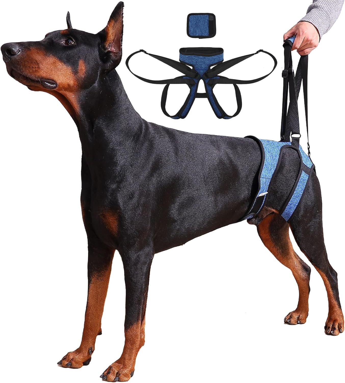 Dog Lift Harness – Adjustable Hind Leg Support Sling for Medium & Large Dogs, Soft Padded Mobility Aid for Senior, Injured & Arthritic Dogs