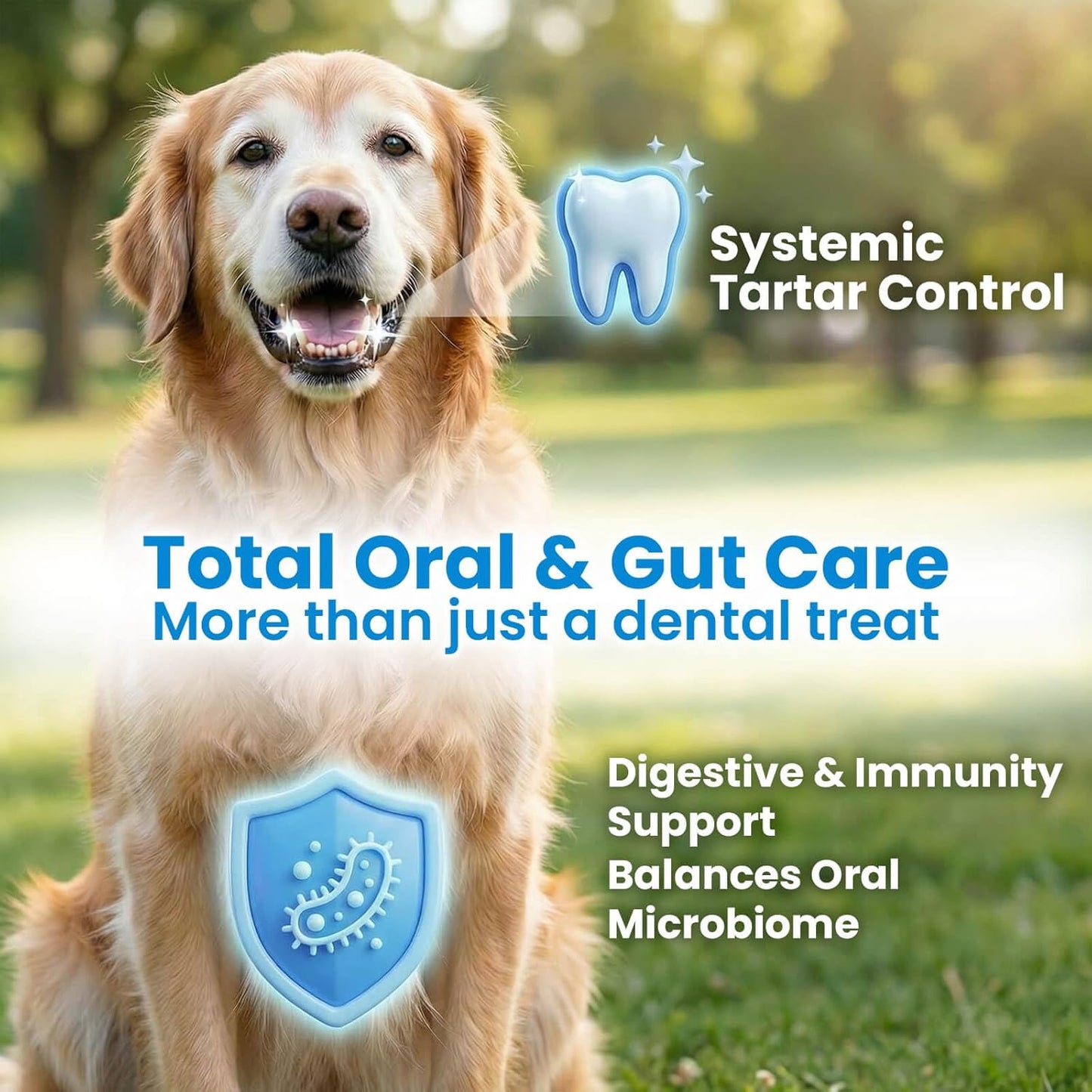Dog Dental Chews for Bad Breath, Soft Chews – Plaque & Tartar Support, Breath Freshener – with Brown Algae (Kelp) + Probiotics, 60 Count