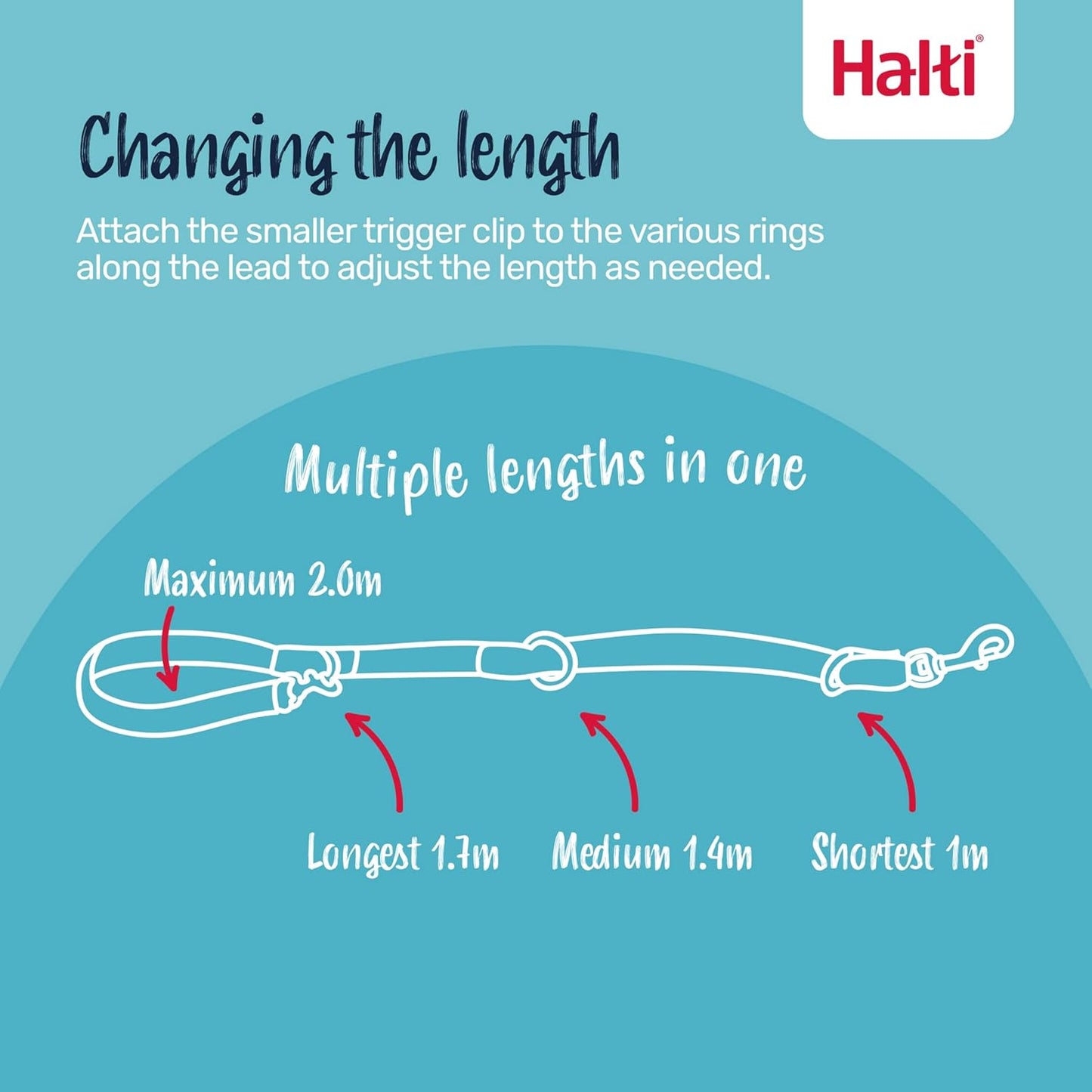 Halti Training Leash - Multifunctional Double-Ended Dog Leash, Ideal for Anti-Pulling Dog Training. Lightweight, Soft & Durable. Suitable for Medium to Large Dogs & Puppies (Size Large, Black, 2m)