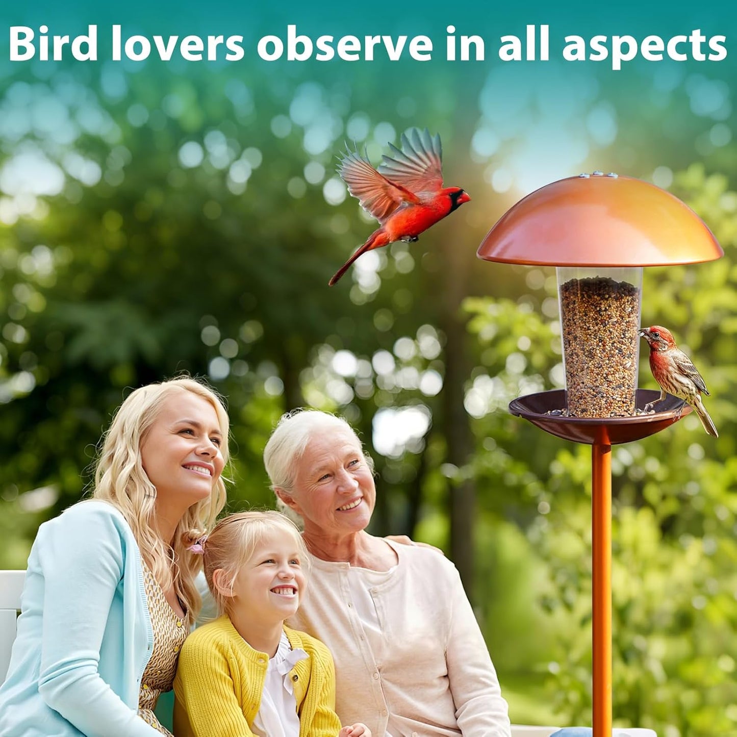 Goodeco Bird Feeder with Pole Standing - Metal Outdoor Bird Feeder for Wild Small Birds, Perfect for Yard Lawn Garden & Patio Decorations, Ideal Gifts for Mom Dad Grandparents (Round)