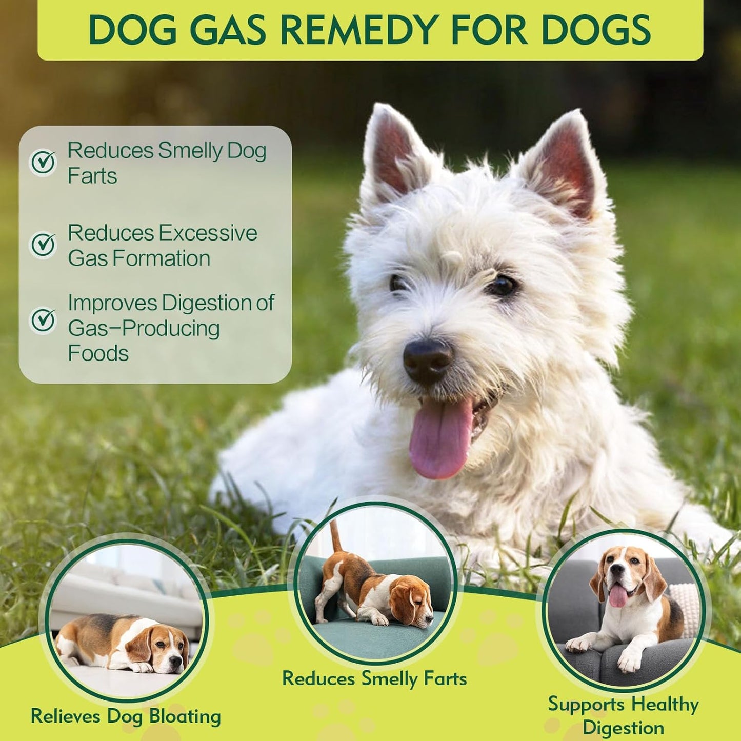 Dog Gas Relief, Relief Smelly Farts with 4B CFU Pediococcus Acidilactici Probiotics, Digestive Enzymes, Dog Fart Remedy to Help Gas & Bloating, Dogs Farts Relief, Dogs Gut Health Digestive Support