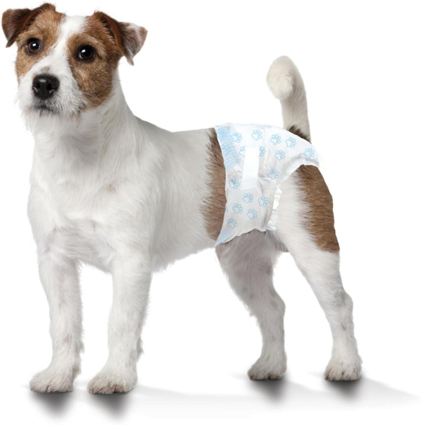Four Paws Wee-Wee Super Absorbent Disposable Adjustable Dog Potty Training Diapers, Leak-Proof Protection for Dogs, Size Small, 12" - 15" Waist, 12 Count