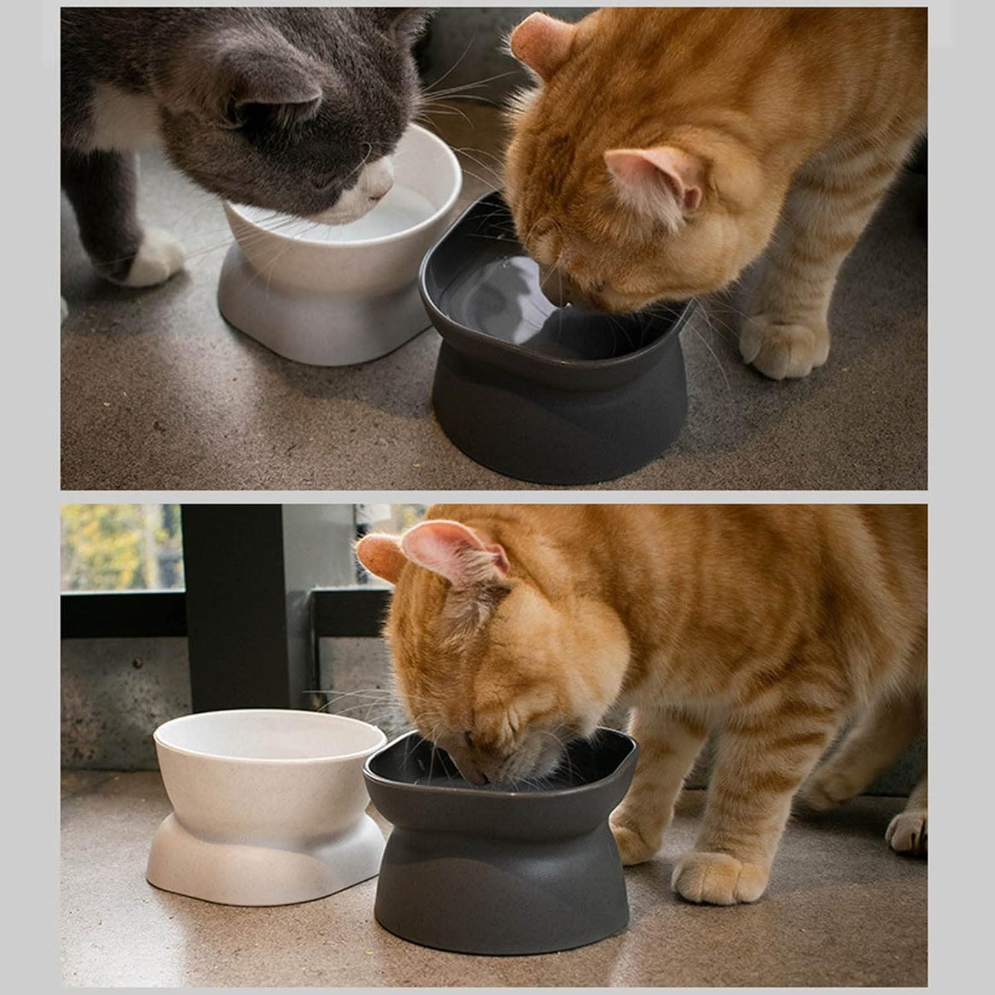 Cats Bowl Food Bowls Non Slip Dog Dish Pet Food Stress Relief Puppy Feeder Bowl with 10° Raised Stand Pet Feeding for for Dogs Elevated