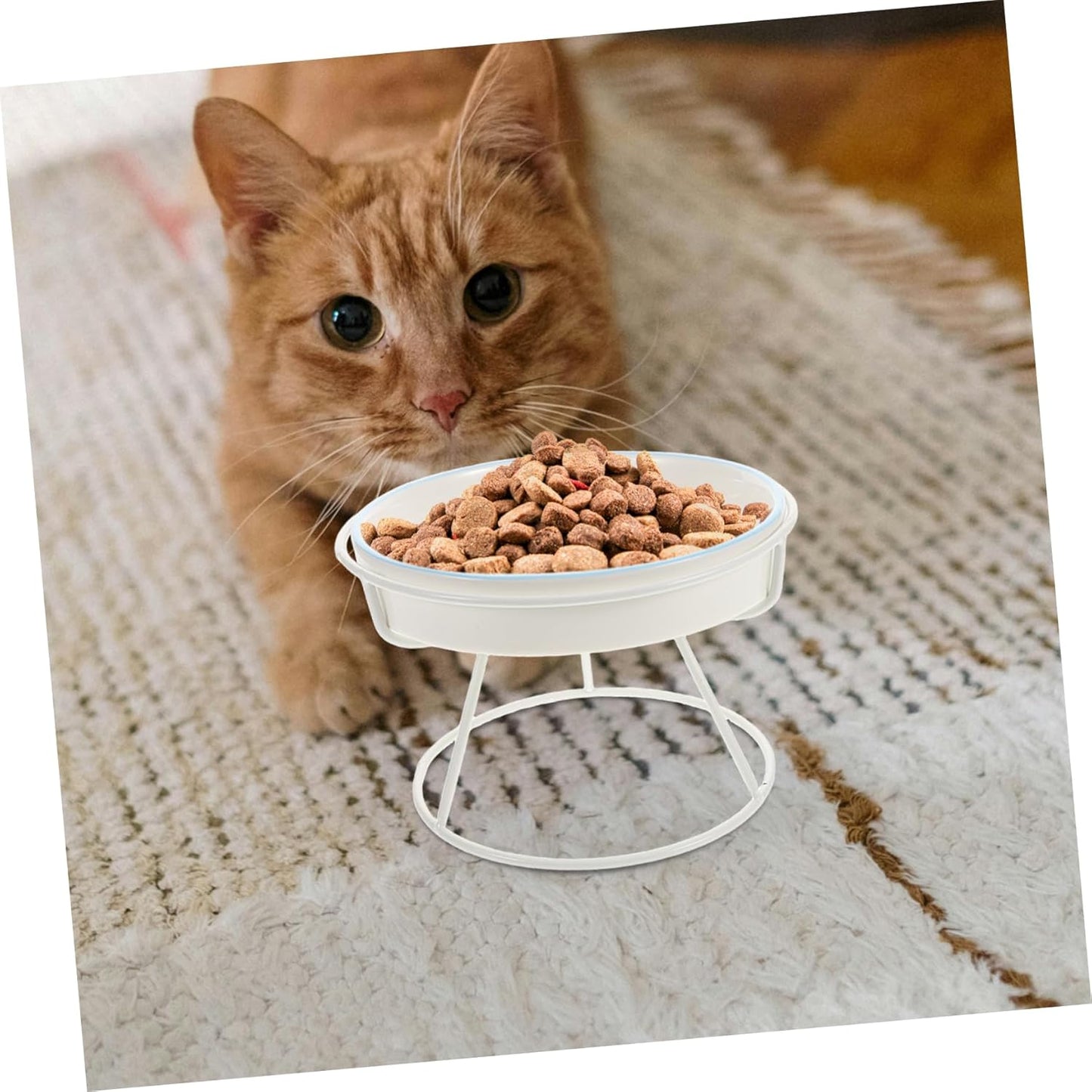 Milisten Elevated Ceramic Cat Bowl Slow Feeder Dish with High Stand for Cats and Small Dogs Choking Design Promotes Healthy Eating Dishwasher Safe
