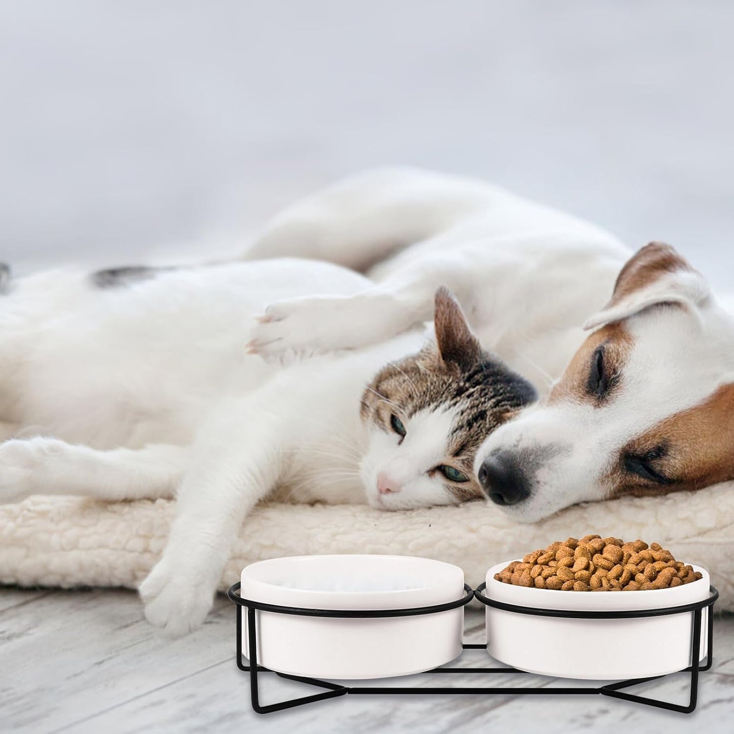 Milisten Ceramic Cat Dog Bowl Set with Elevated Black Iron Stand 13cm Double Pet Feeding Bowls for Water and Food Suitable for Cats and Small Dogs
