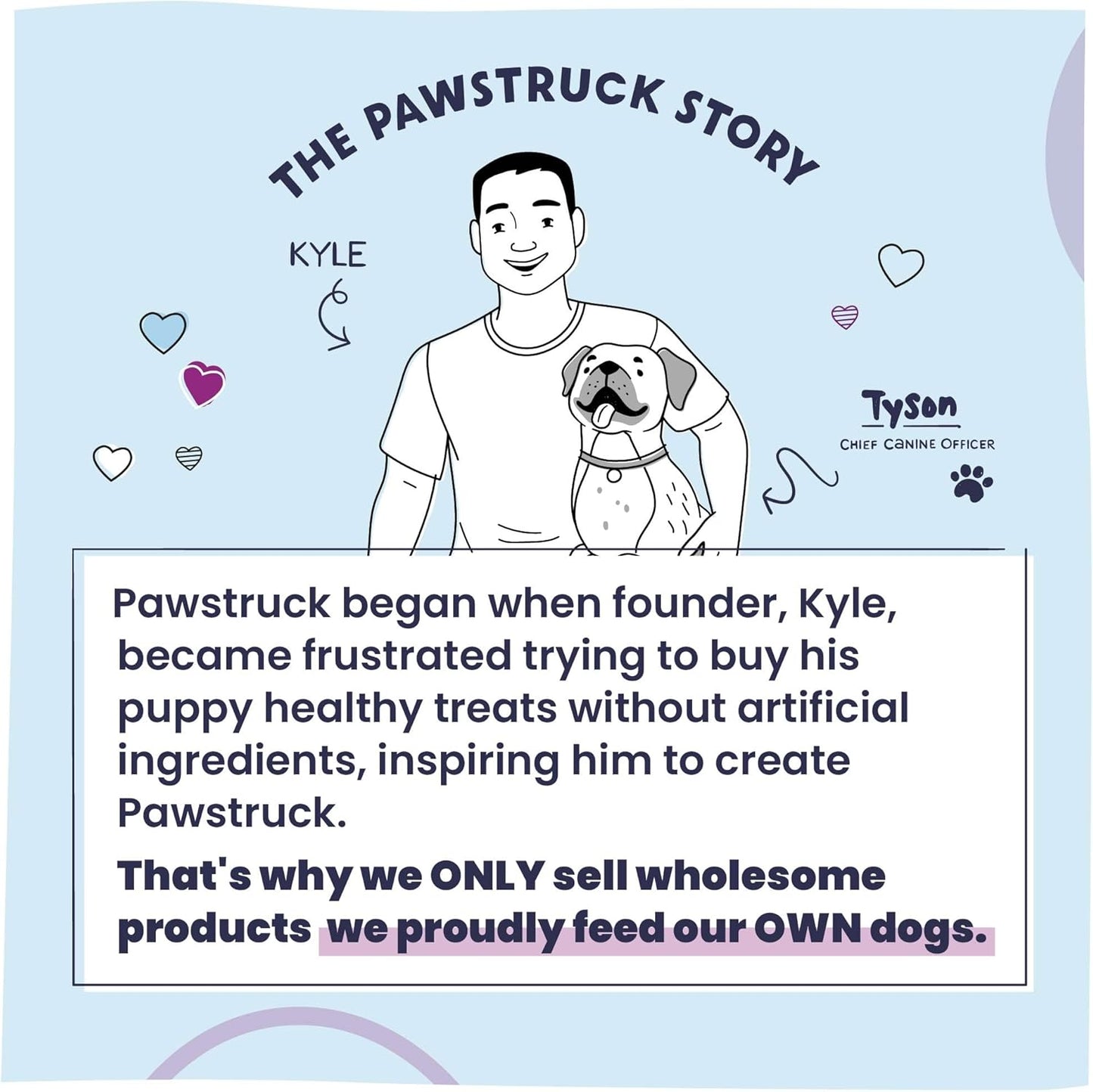 Pawstruck Natural No-Rinse Dry Shampoo for Dogs, Puppies, & Other Pets, Citrus & Rosemary - Waterless Deodorizing Spray Made in USA to Freshen & Remove Odors - 16 fl oz - Packaging May Vary