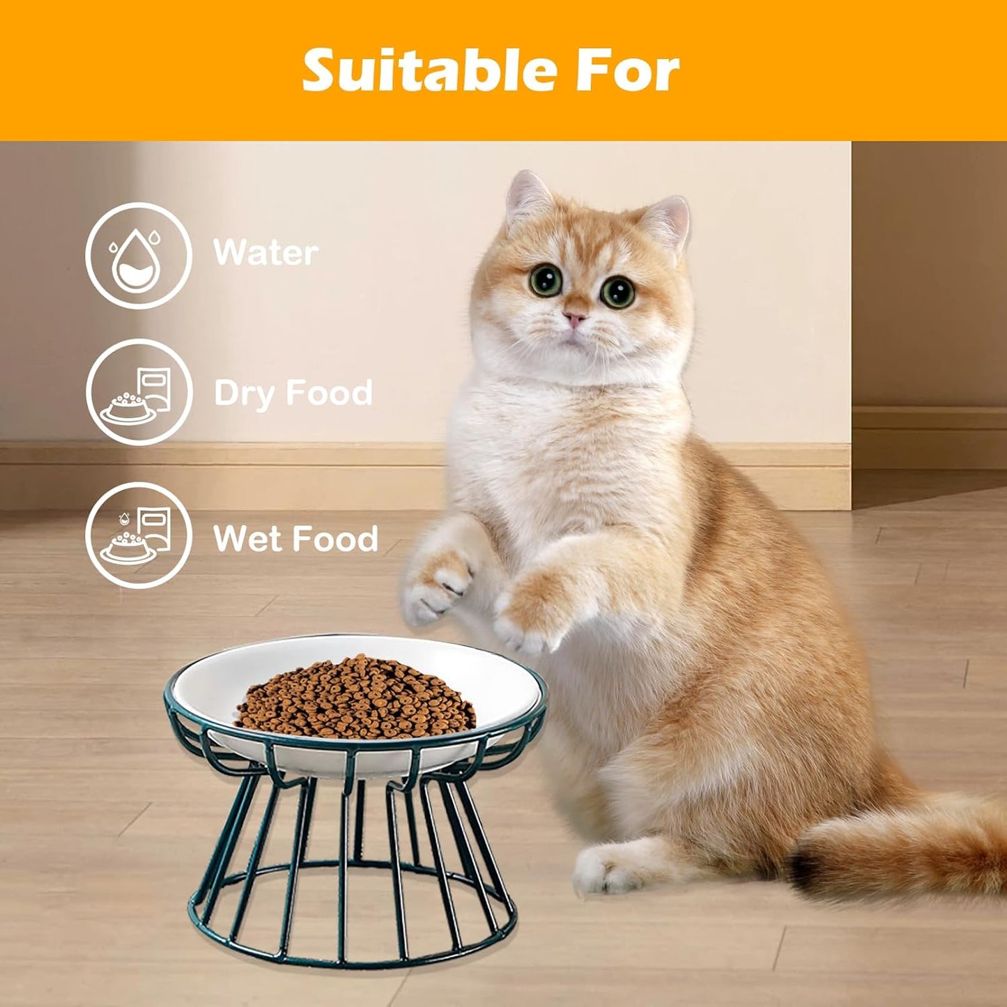 Ceramic Cat Bowls with Metal Stand,2 Pack Elevated Cat Bowl Raised Kitten Food&Water Feeding Shallow Dish for Indoor Cats,Puppies,Small Dogs