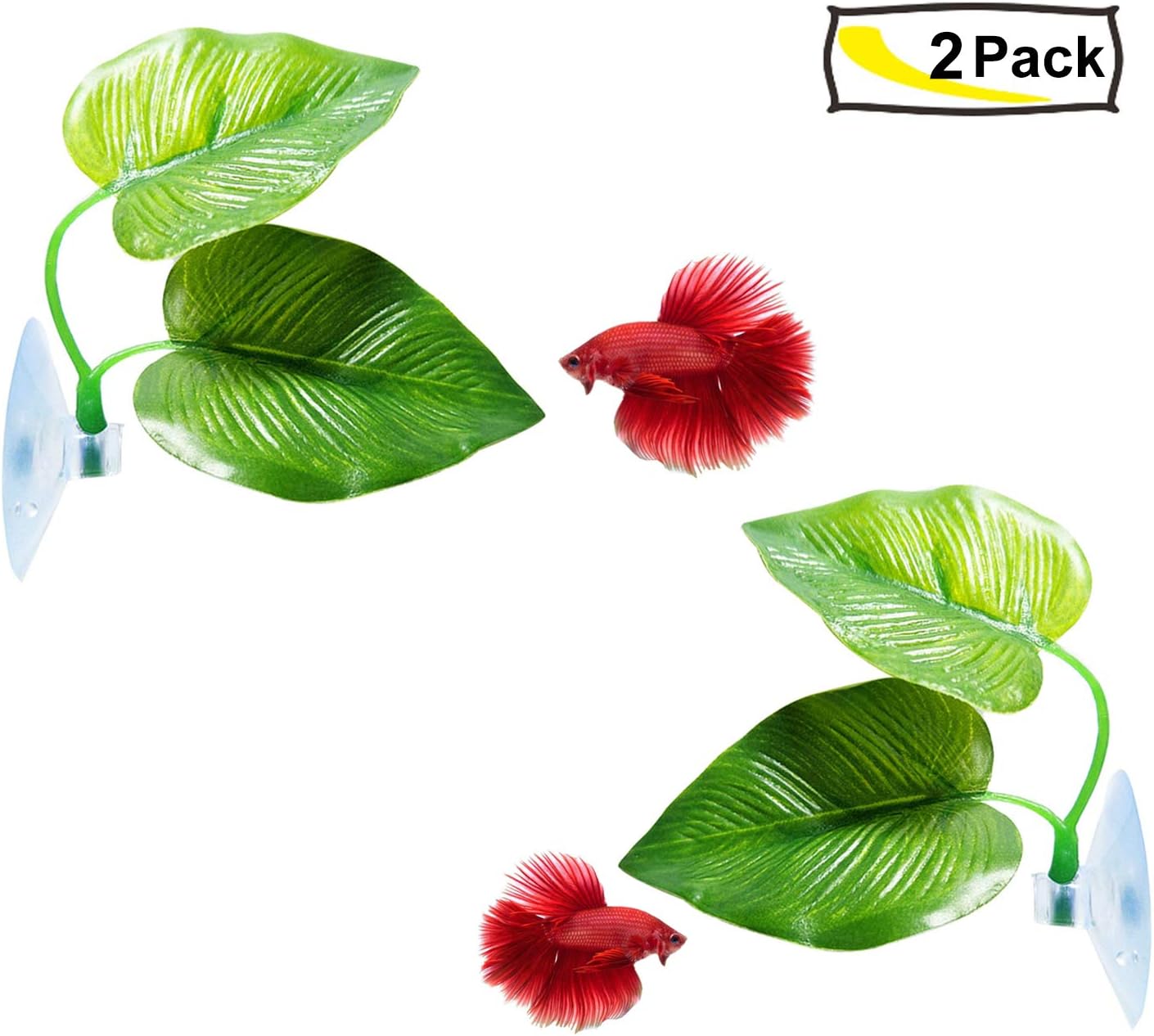 CousDUoBe 2 Pack Betta Fish Leaf Pad Improves Betta's Health by Simulating The Natural Habitat - Natural, Organic, Comfortable Rest Area for Fish Aquarium Ornaments
